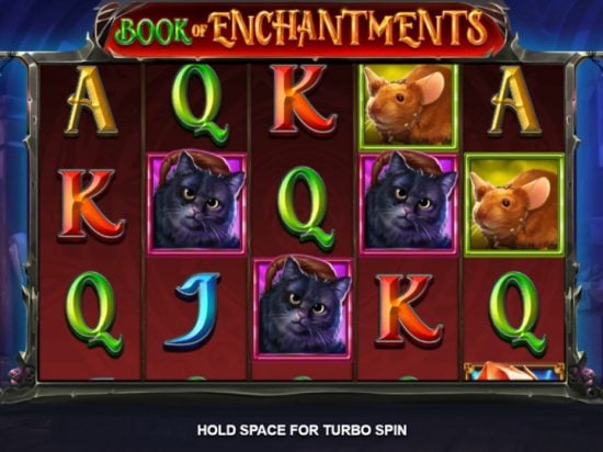 Book of Enchantments slot game image