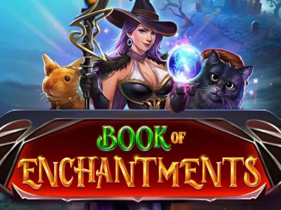 Book of Enchantments slot game image