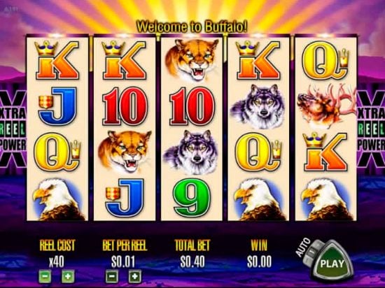 Buffalo slot game image