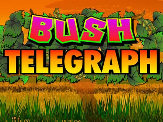 Bush Telegraph slot game image