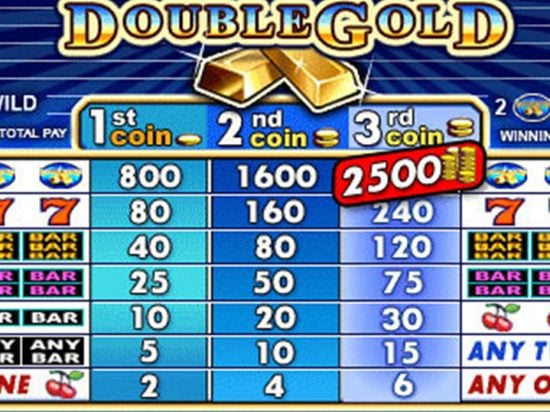 Double Gold Slot Game Image