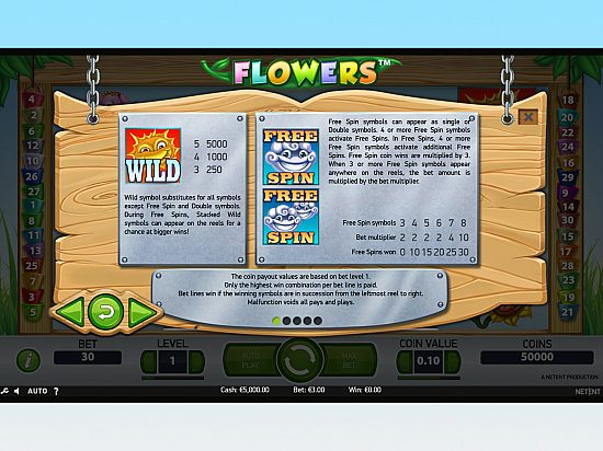 Flowers slot game image