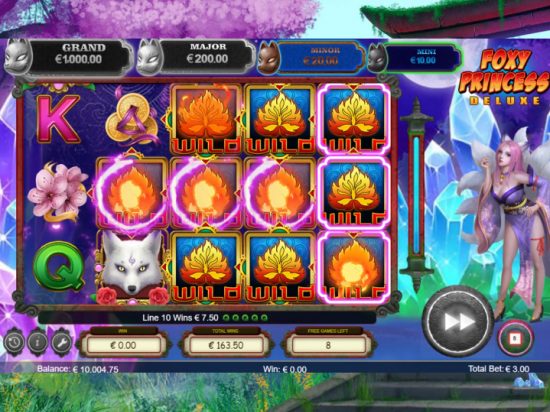 Foxy Princess Deluxe slot game image