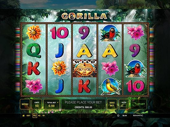 Gorilla slot game image