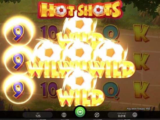 Hot Shots slot game image