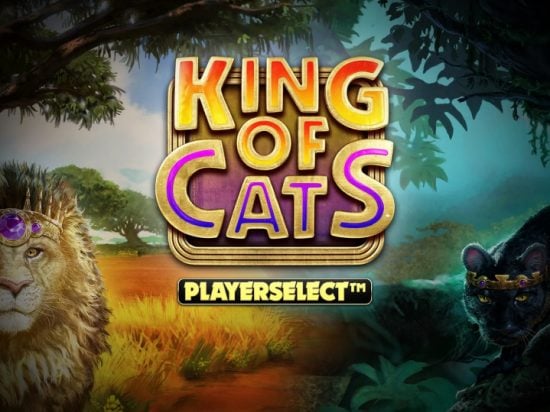 King of Cats Megaways Slot Game Image
