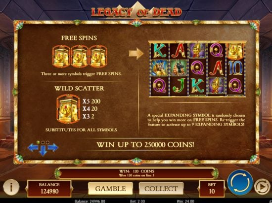 Legacy of Dead slot game image