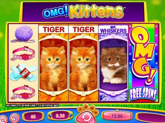 OMG Kittens Slot Game Image