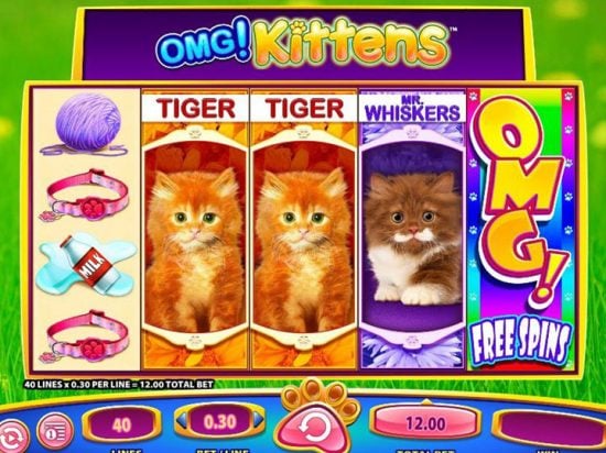 OMG Kittens Slot Game Image