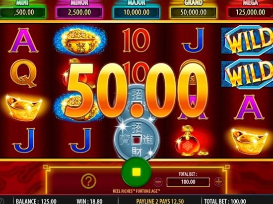 Reel Riches Fortune Age Slot Game Image