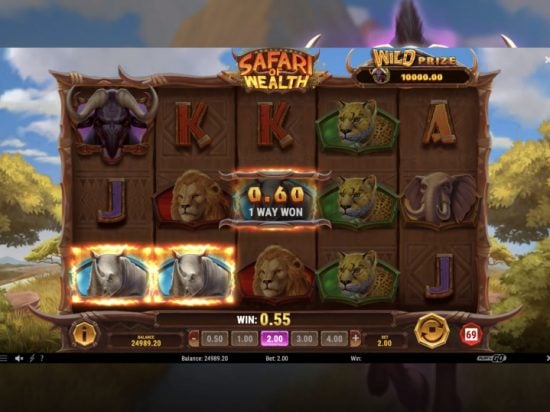 Safari of Wealth slot game image