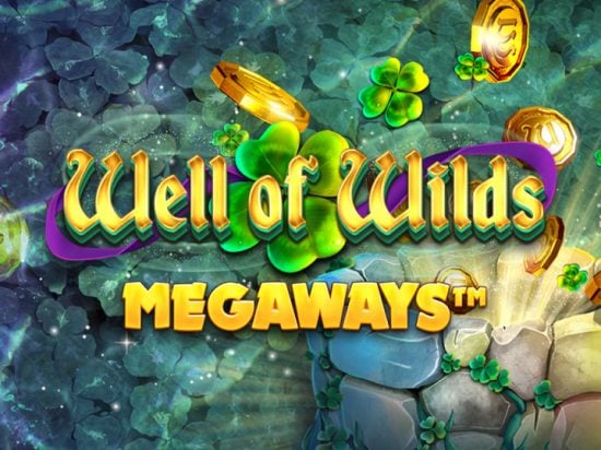 Well of Wilds slot game image
