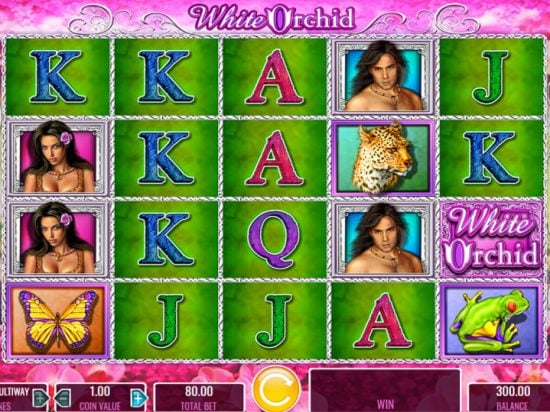 White Orchid slot game image