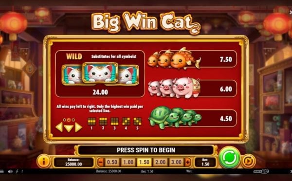 Big win cat paytable